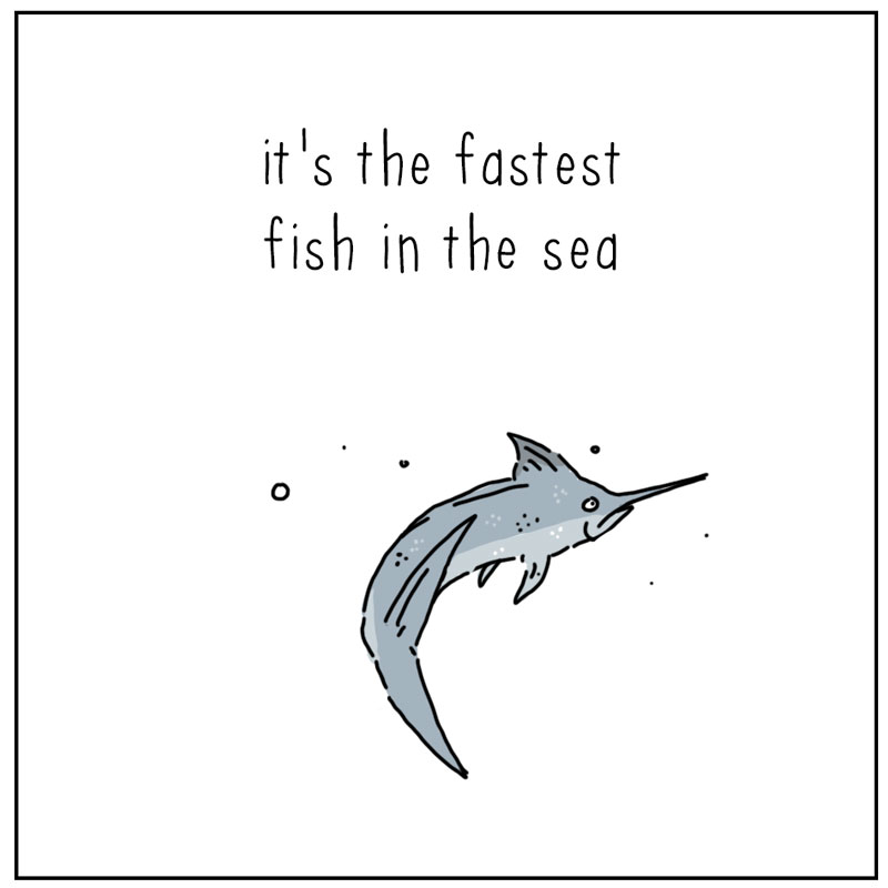 https://cdn.tinyview.com/they-can-talk/2025/02/17/design/sailfish_boxfish2.jpg
