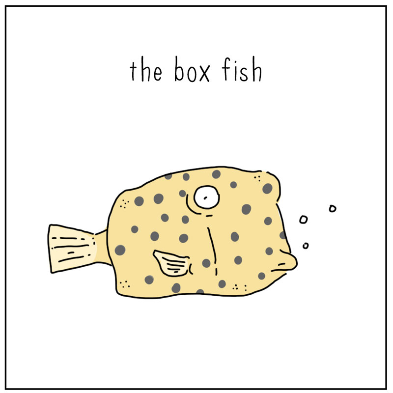https://cdn.tinyview.com/they-can-talk/2025/02/17/design/sailfish_boxfish3.jpg