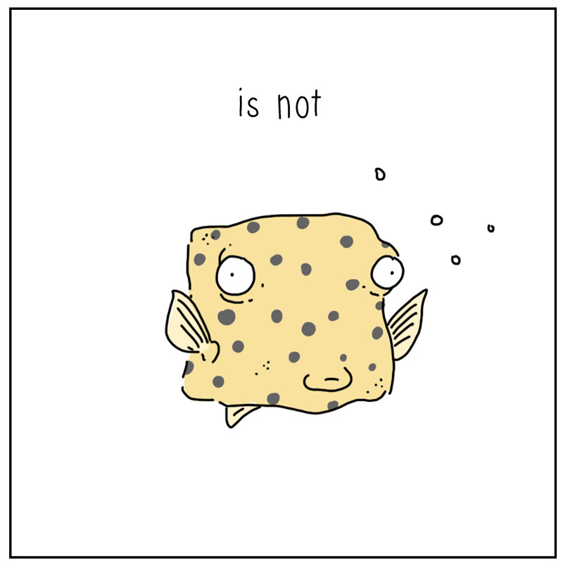 https://cdn.tinyview.com/they-can-talk/2025/02/17/design/sailfish_boxfish4.jpg