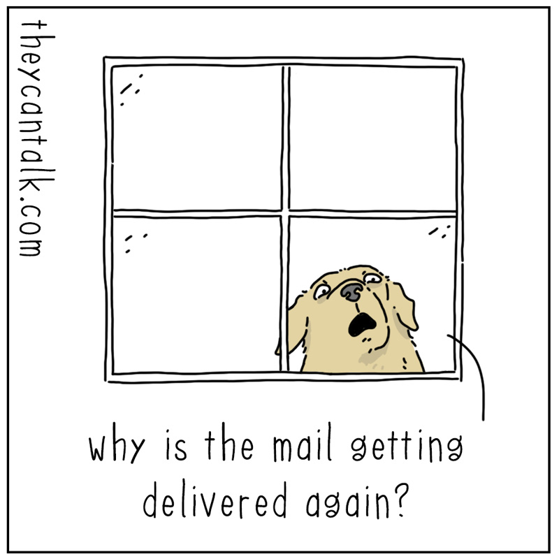 https://cdn.tinyview.com/they-can-talk/2025/02/21/mail/dog_pizza1.jpg