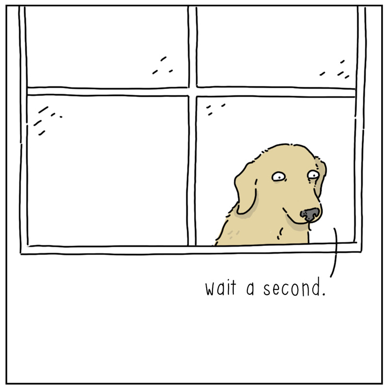 https://cdn.tinyview.com/they-can-talk/2025/02/21/mail/dog_pizza3.jpg