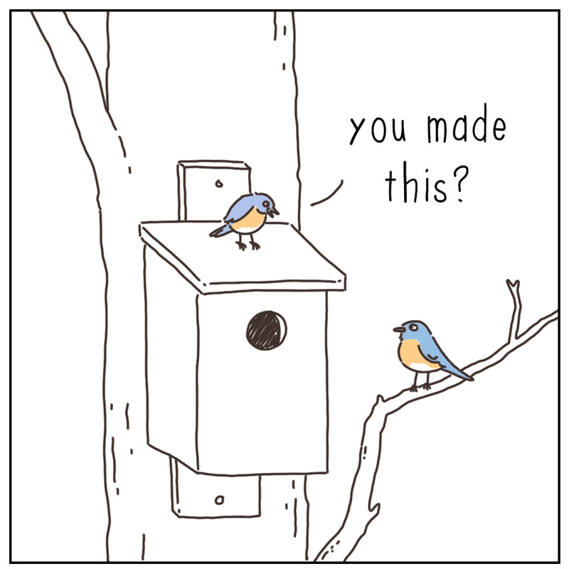 https://cdn.tinyview.com/they-can-talk/2025/02/24/birdhouse/bird_builthouse2.jpg