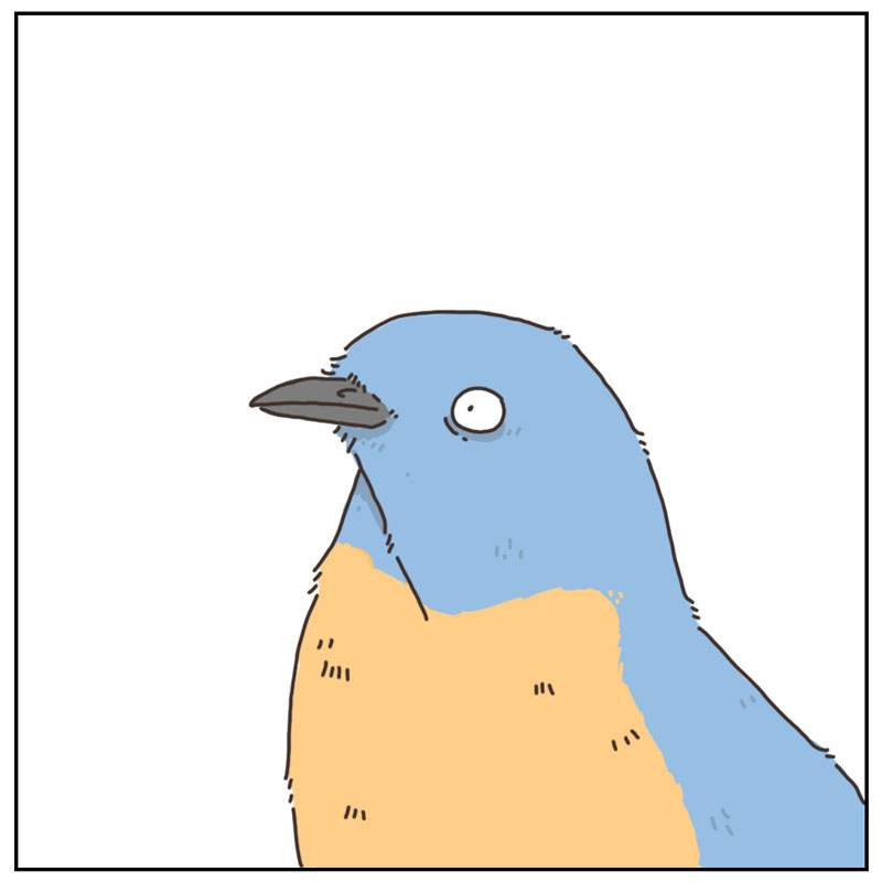 https://cdn.tinyview.com/they-can-talk/2025/02/24/birdhouse/bird_builthouse3.jpg