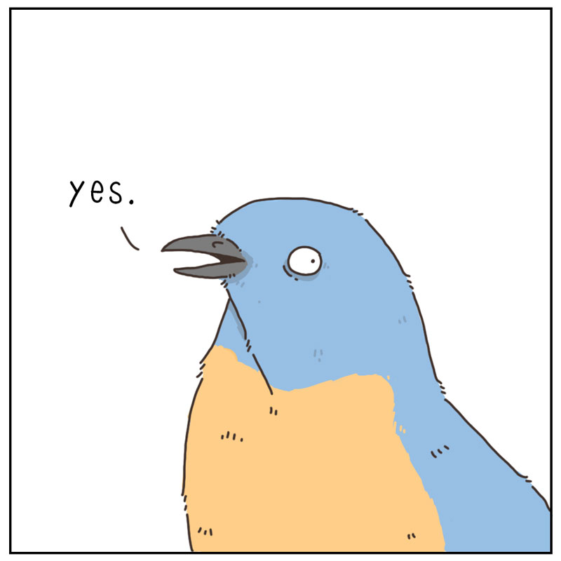 https://cdn.tinyview.com/they-can-talk/2025/02/24/birdhouse/bird_builthouse4.jpg