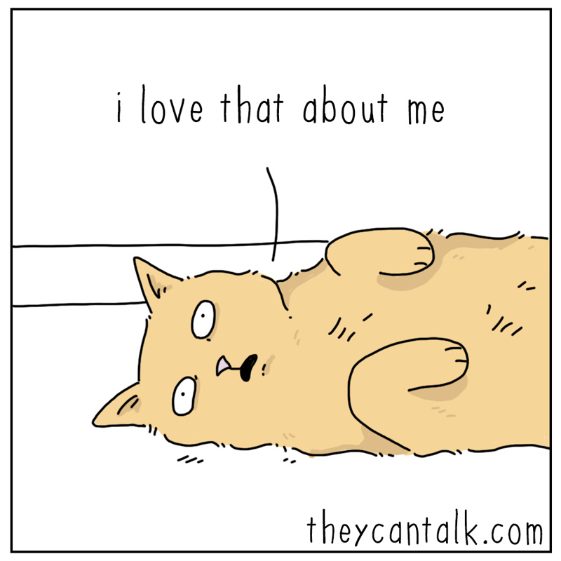 https://cdn.tinyview.com/they-can-talk/2025/02/28/myself/cat_bemyself3.jpg