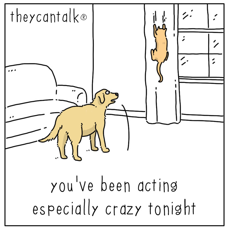 https://cdn.tinyview.com/they-can-talk/2025/03/03/full-moon/cat_fullmoon1.jpg