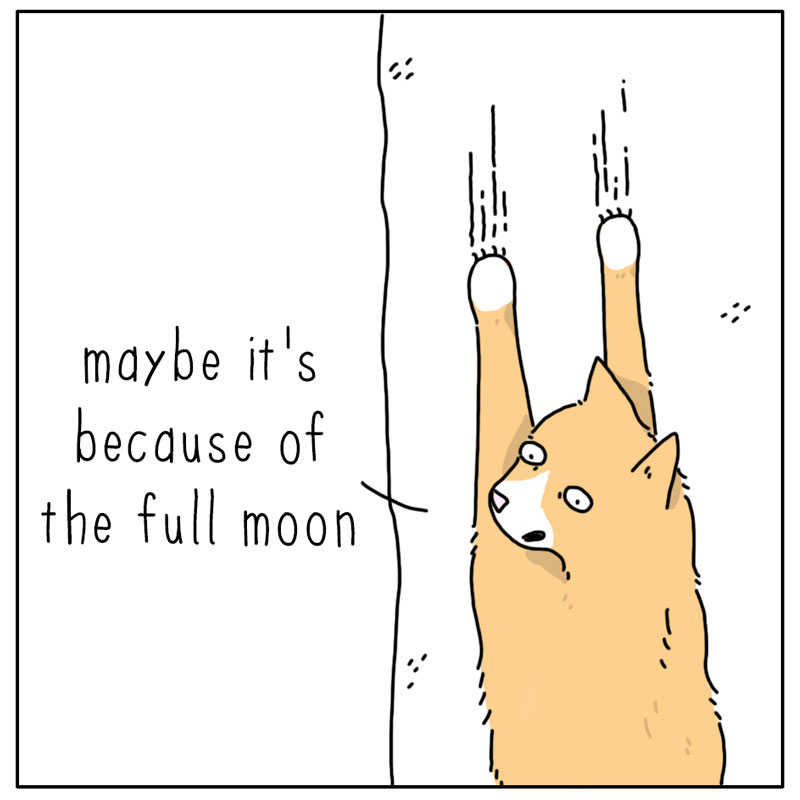 https://cdn.tinyview.com/they-can-talk/2025/03/03/full-moon/cat_fullmoon2.jpg
