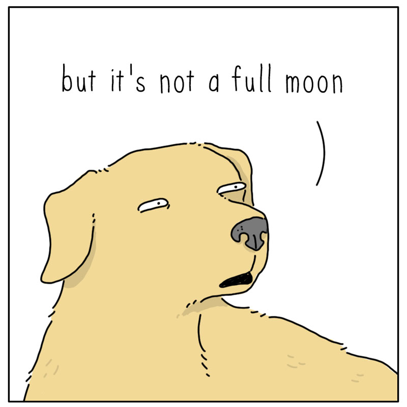 https://cdn.tinyview.com/they-can-talk/2025/03/03/full-moon/cat_fullmoon3.jpg