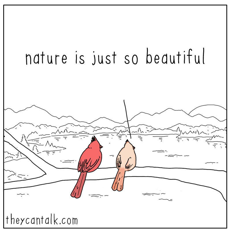 https://cdn.tinyview.com/they-can-talk/2025/03/07/beautiful/birds_beautiful1.jpg