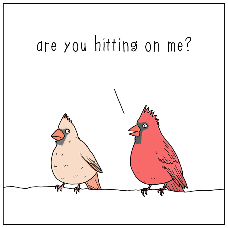 https://cdn.tinyview.com/they-can-talk/2025/03/07/beautiful/birds_beautiful2.jpg