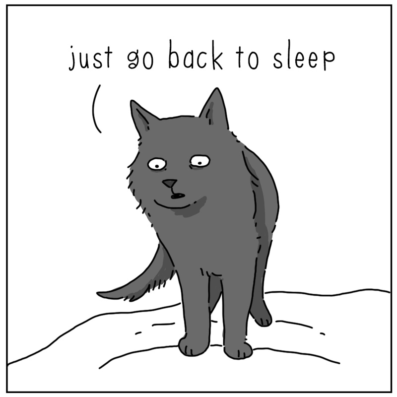 https://cdn.tinyview.com/they-can-talk/2025/03/10/sleep/cat_dontmindme2.jpg