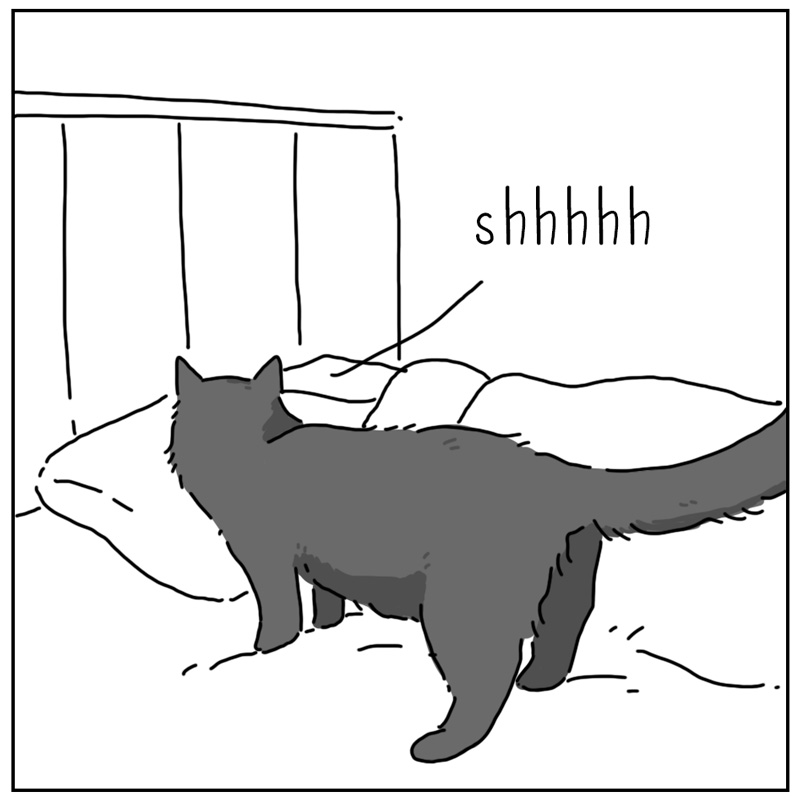 https://cdn.tinyview.com/they-can-talk/2025/03/10/sleep/cat_dontmindme3.jpg