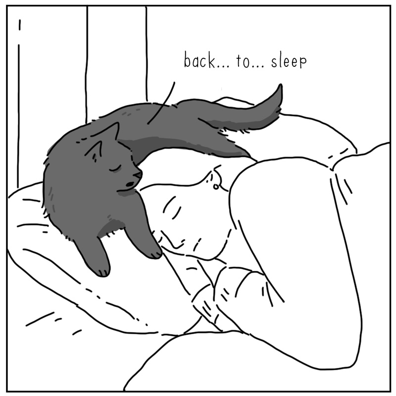 https://cdn.tinyview.com/they-can-talk/2025/03/10/sleep/cat_dontmindme4.jpg