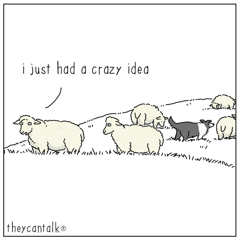 https://cdn.tinyview.com/they-can-talk/2025/03/14/revolution/sheep_dog1.jpg