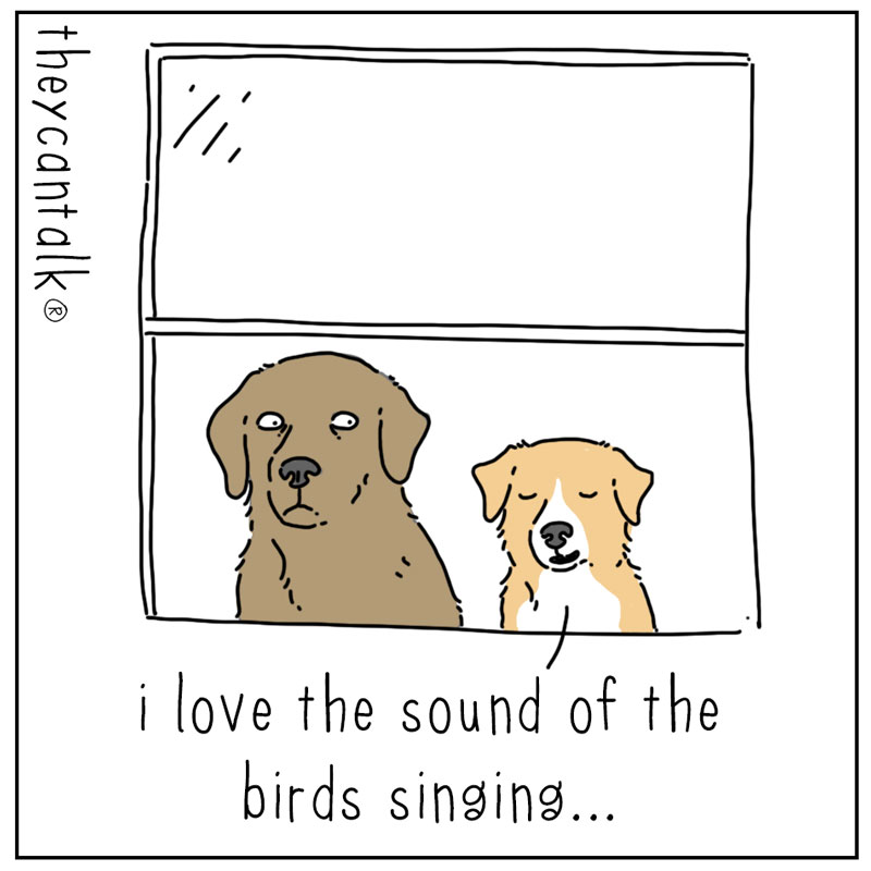 https://cdn.tinyview.com/they-can-talk/2025/03/17/sounds/dog_springsounds_1.jpg