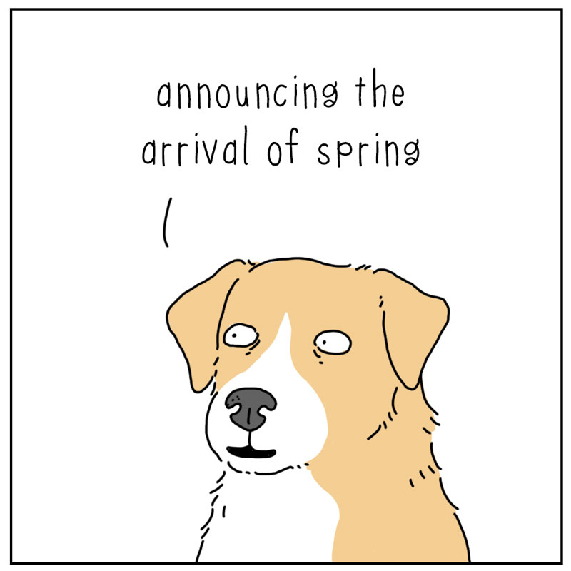 https://cdn.tinyview.com/they-can-talk/2025/03/17/sounds/dog_springsounds_2.jpg