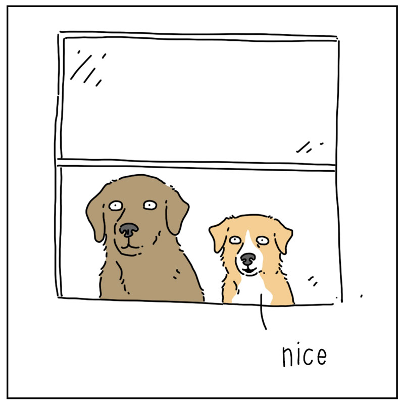 https://cdn.tinyview.com/they-can-talk/2025/03/17/sounds/dog_springsounds_4.jpg