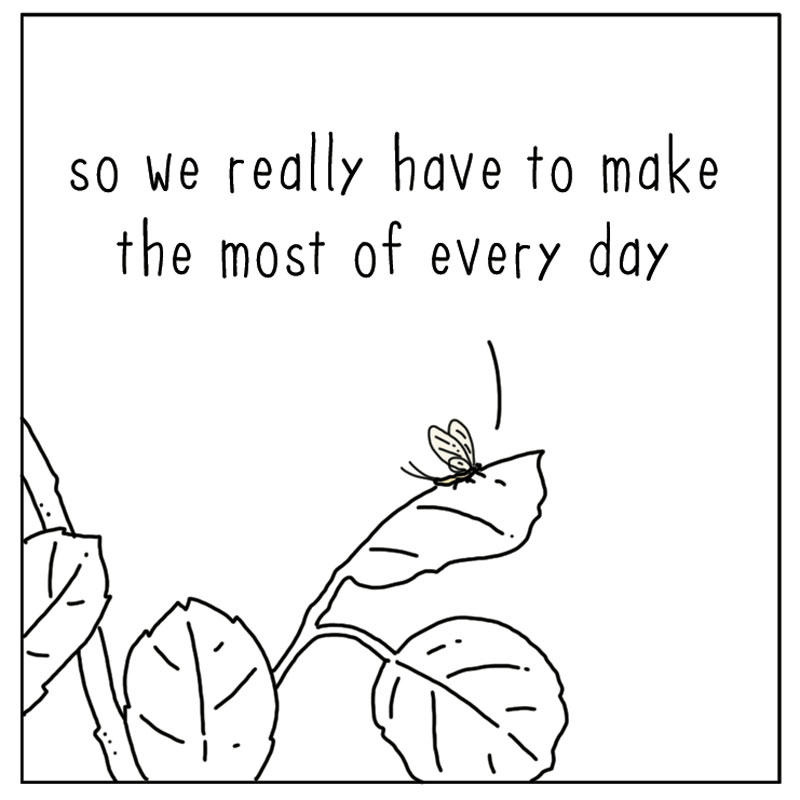 https://cdn.tinyview.com/they-can-talk/2025/03/21/mayfly/mayfly_today2.jpg