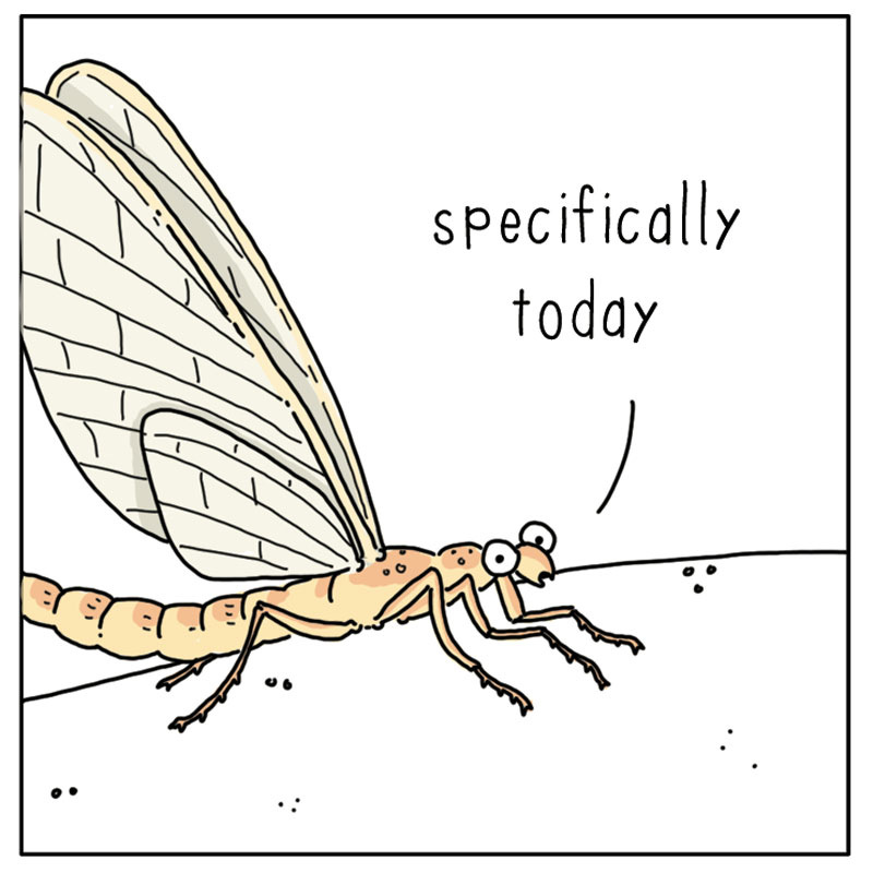 https://cdn.tinyview.com/they-can-talk/2025/03/21/mayfly/mayfly_today3.jpg