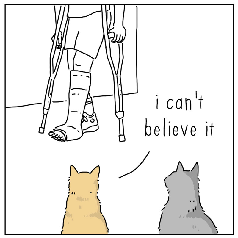 https://cdn.tinyview.com/they-can-talk/2025/03/23/alteration/cat_cast1.jpg