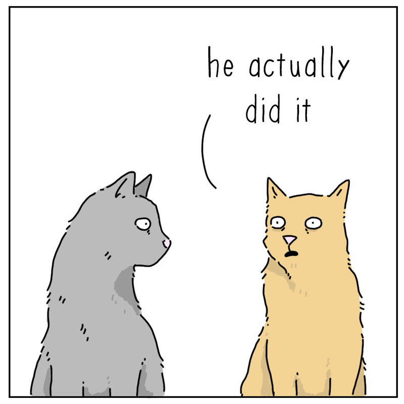 https://cdn.tinyview.com/they-can-talk/2025/03/23/alteration/cat_cast2.jpg