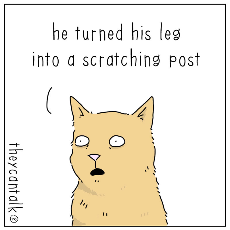 https://cdn.tinyview.com/they-can-talk/2025/03/23/alteration/cat_cast3.jpg