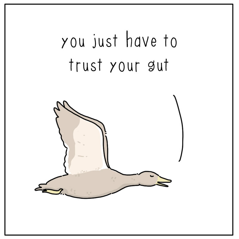 https://cdn.tinyview.com/they-can-talk/2025/03/28/gut/duck_gut2.jpg