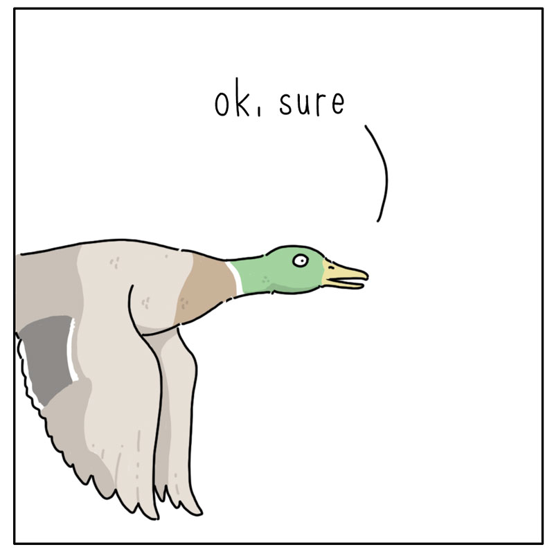 https://cdn.tinyview.com/they-can-talk/2025/03/28/gut/duck_gut3.jpg