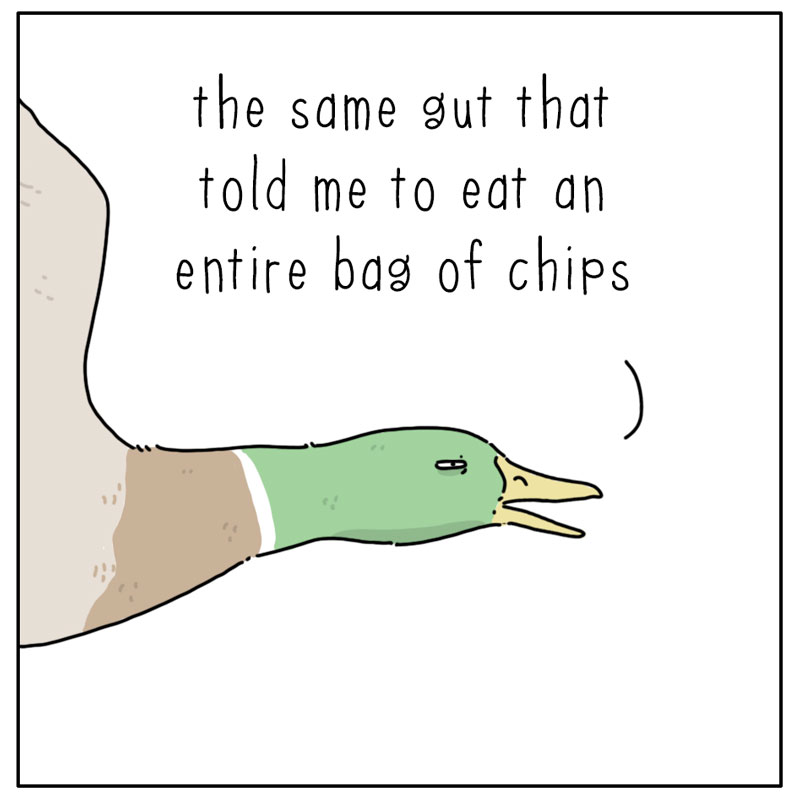 https://cdn.tinyview.com/they-can-talk/2025/03/28/gut/duck_gut4.jpg