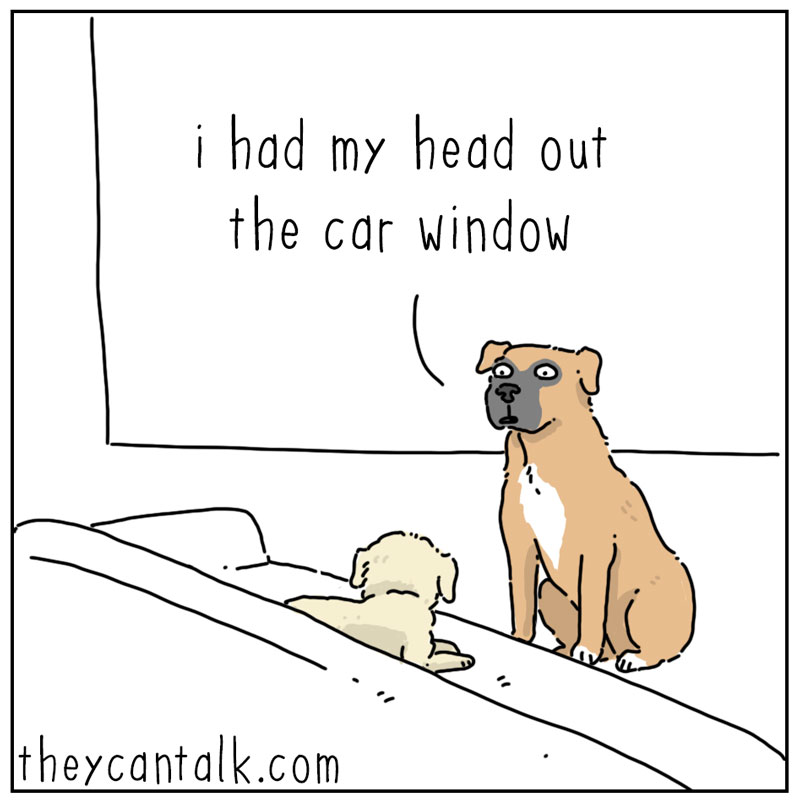 https://cdn.tinyview.com/they-can-talk/2025/04/04/acquiesced/dog_fly1.jpg