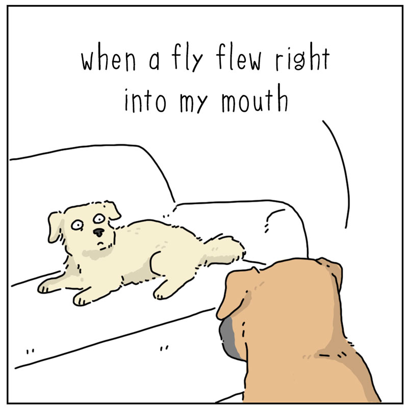https://cdn.tinyview.com/they-can-talk/2025/04/04/acquiesced/dog_fly2.jpg