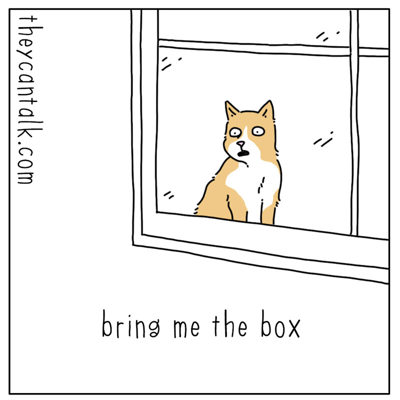https://cdn.tinyview.com/they-can-talk/2025/04/05/delivery/cat_delivery1.jpg