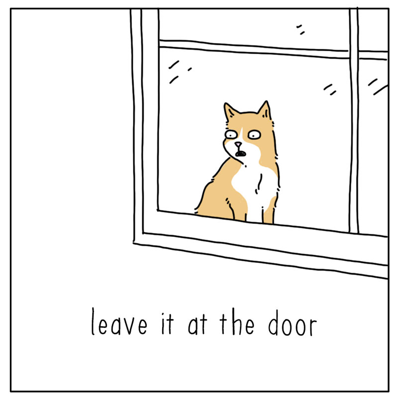https://cdn.tinyview.com/they-can-talk/2025/04/05/delivery/cat_delivery2.jpg