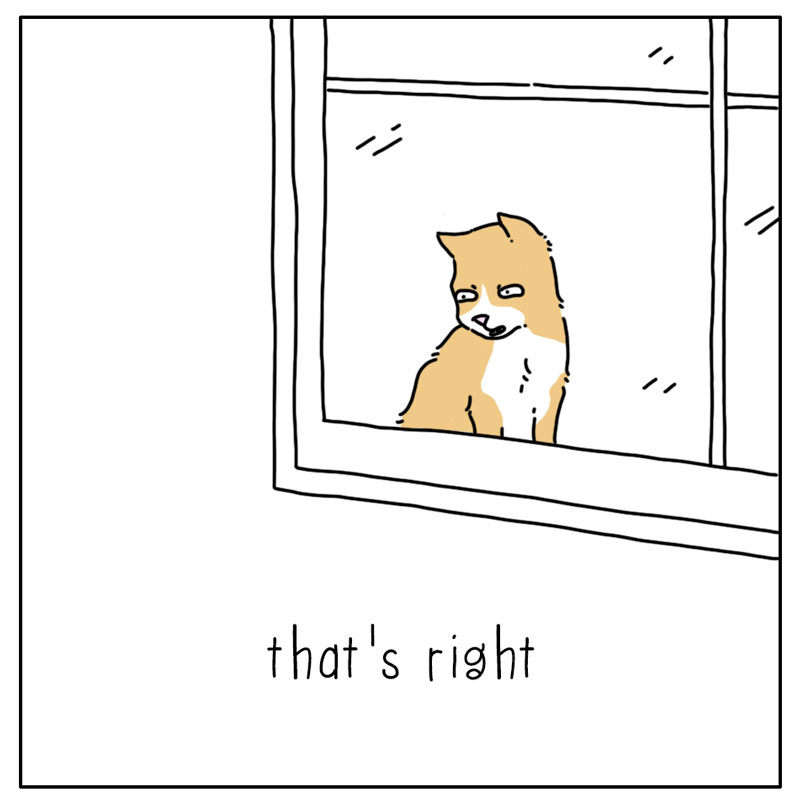 https://cdn.tinyview.com/they-can-talk/2025/04/05/delivery/cat_delivery3.jpg
