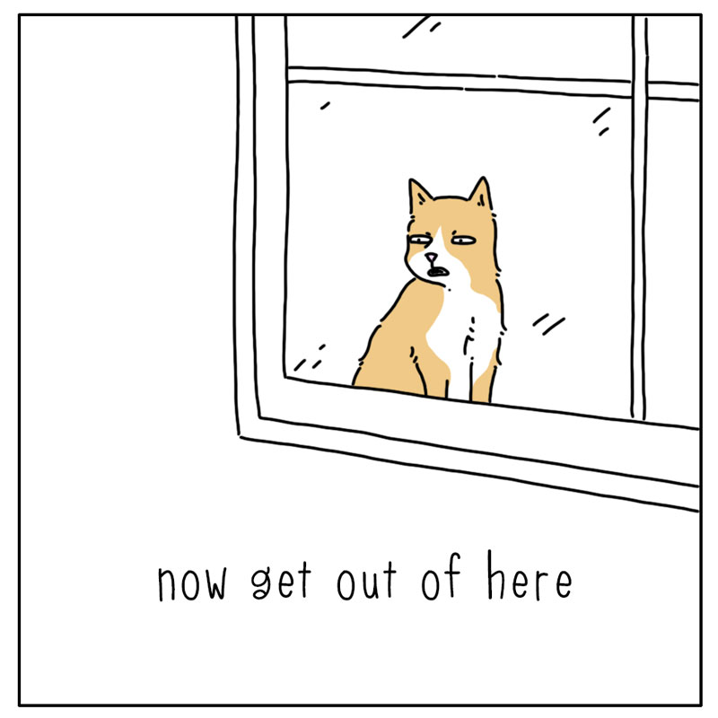 https://cdn.tinyview.com/they-can-talk/2025/04/05/delivery/cat_delivery4.jpg
