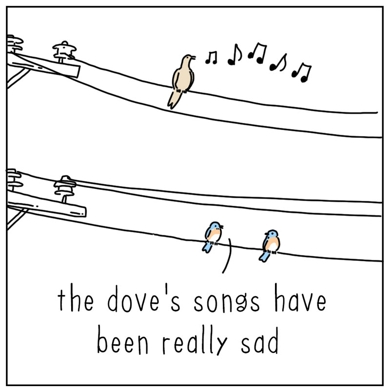 https://cdn.tinyview.com/they-can-talk/2025/04/07/sad-songs/dove_sadsong1.jpg