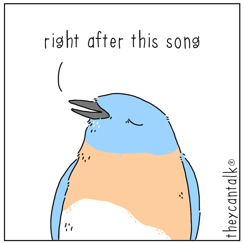 https://cdn.tinyview.com/they-can-talk/2025/04/07/sad-songs/dove_sadsong4.jpg
