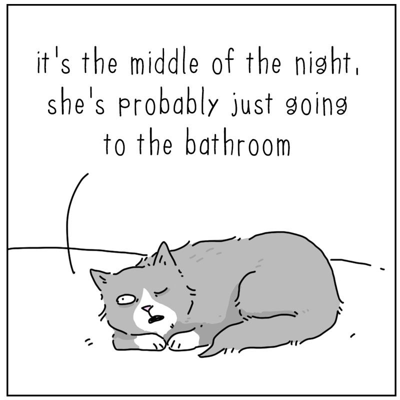 https://cdn.tinyview.com/they-can-talk/2025/04/14/breakfast/cat_midnight2.jpg