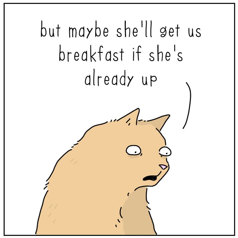 https://cdn.tinyview.com/they-can-talk/2025/04/14/breakfast/cat_midnight3.jpg
