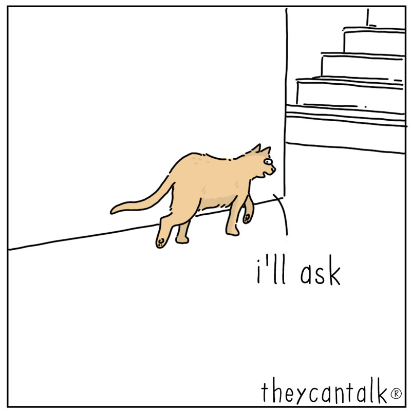 https://cdn.tinyview.com/they-can-talk/2025/04/14/breakfast/cat_midnight4.jpg