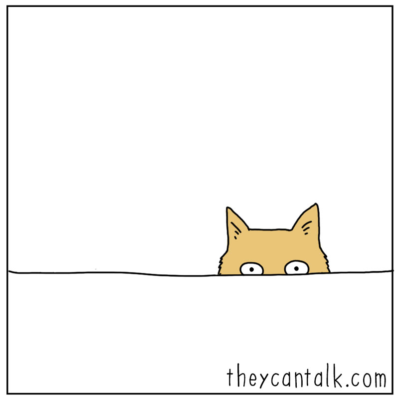 https://cdn.tinyview.com/they-can-talk/2025/04/18/sandwich/cat_sandwich4.jpg