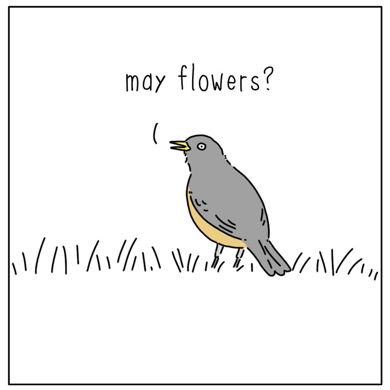 https://cdn.tinyview.com/they-can-talk/2025/04/21/april-showers/bird_aprilshowers2.jpg