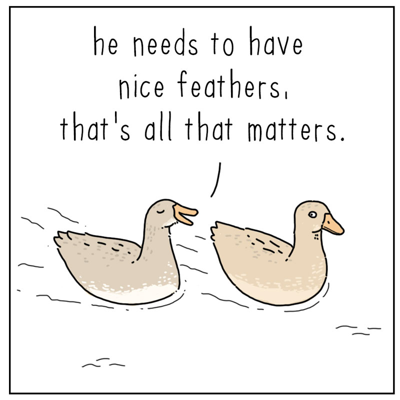 https://cdn.tinyview.com/they-can-talk/2025/04/25/criteria/duck_attractive1.jpg