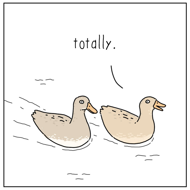 https://cdn.tinyview.com/they-can-talk/2025/04/25/criteria/duck_attractive2.jpg