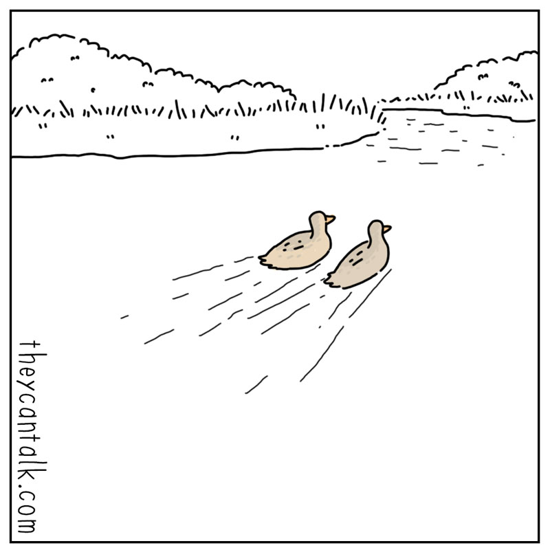 https://cdn.tinyview.com/they-can-talk/2025/04/25/criteria/duck_attractive3.jpg