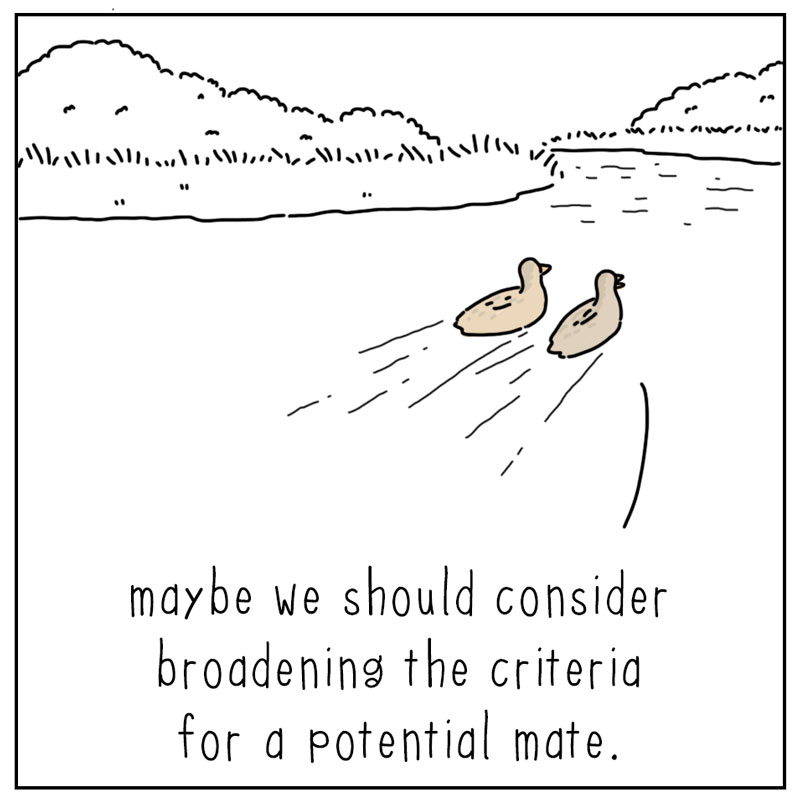 https://cdn.tinyview.com/they-can-talk/2025/04/25/criteria/duck_attractive4.jpg