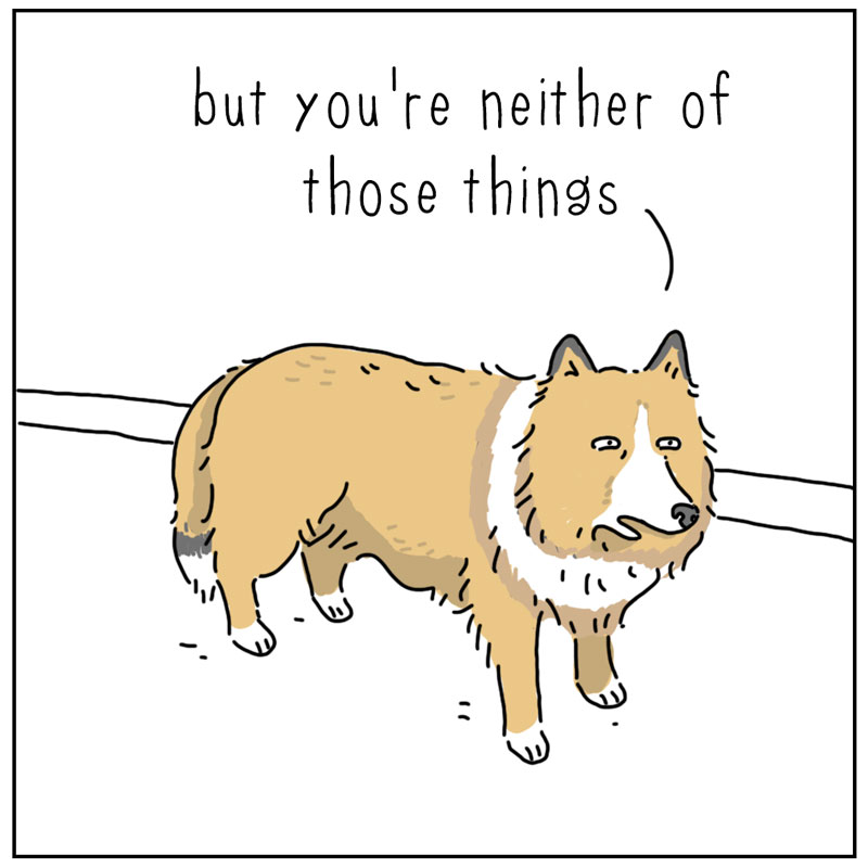 https://cdn.tinyview.com/they-can-talk/2025/04/28/remembered/cat_remembered2.jpg