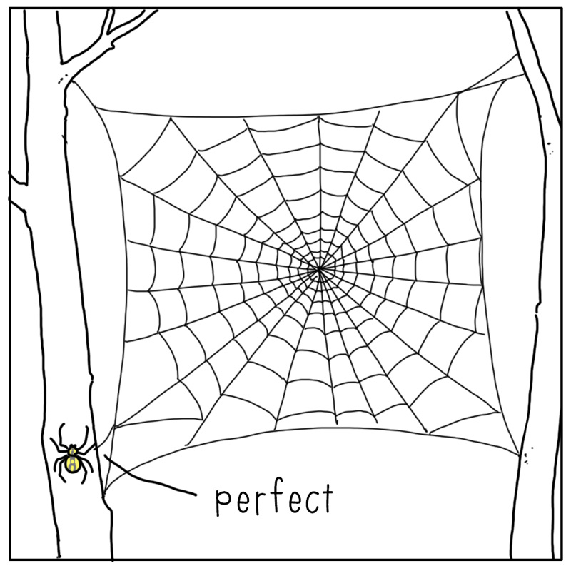 https://cdn.tinyview.com/they-can-talk/2025/05/02/standards/spider_goodenough1.jpg