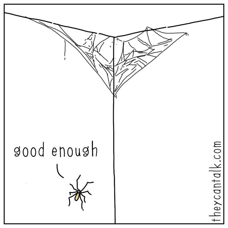 https://cdn.tinyview.com/they-can-talk/2025/05/02/standards/spider_goodenough2.jpg