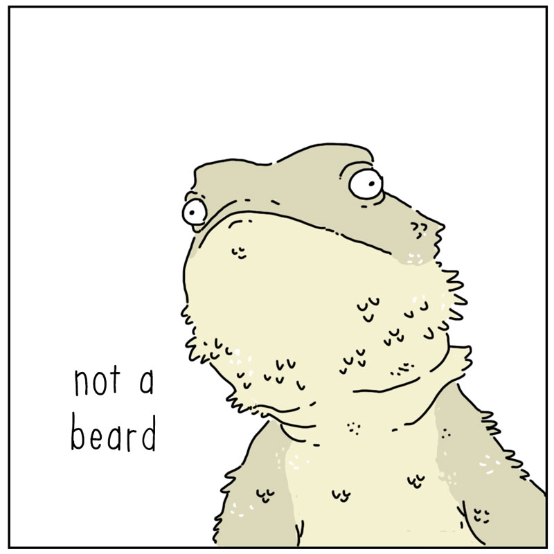 https://cdn.tinyview.com/they-can-talk/2025/05/05/bearded-dragon/beardeddragon2.jpg